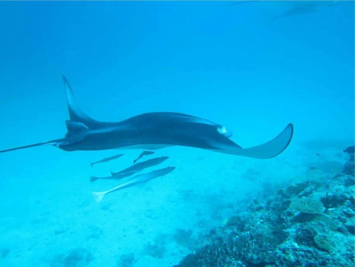 Feridhoo Inn Dış mekan fotoğraf
