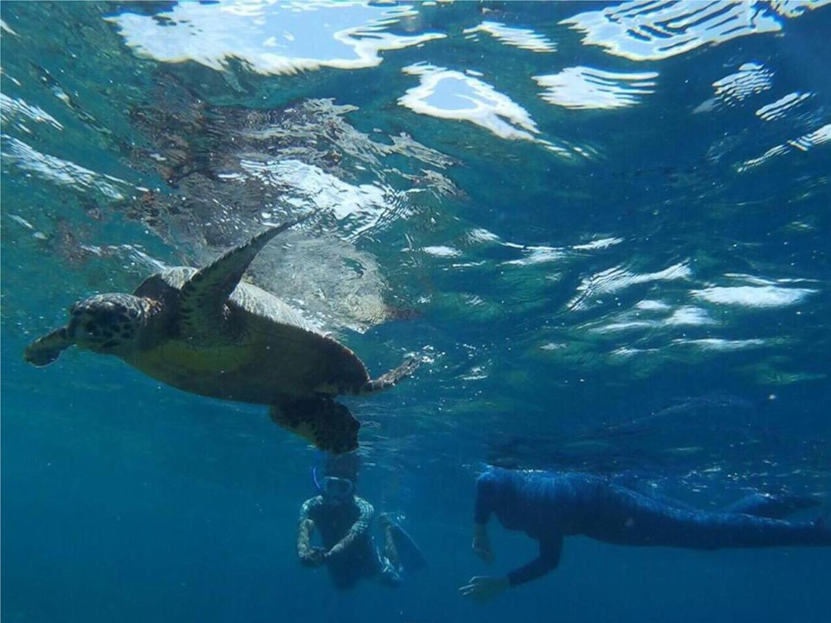 Feridhoo Inn Dış mekan fotoğraf